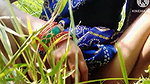 Desi Bhabhi Village Lover outdoor cute, Delia