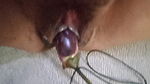Deshi girl masturbation with brinjal,her hot pussy,noob,nippal lik pusy water