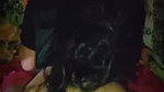 Desi village bhabi fucking doggy