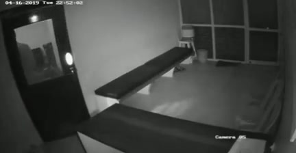 Frame 10