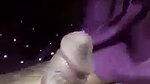 Desi Babe Giving Blowjob