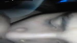 lover full fucking mms