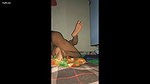 Bhabhi giving Blowjob after Fucked By Dewar