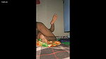 Bhabhi giving Blowjob after Fucked By Dewar