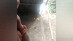 Village bhabhi on vc