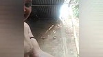 Village bhabhi on vc