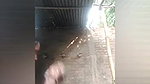 Village bhabhi on vc