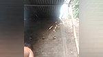 Village bhabhi on vc