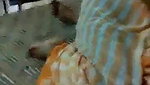 Maid fucking by owner