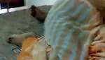 Maid fucking by owner