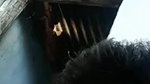 Sexy Wife Bathing