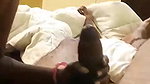 Desi bhabhi blowjob and Pussy fingering by lover
