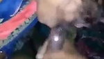 Village Bhabhi Sucking Cock n Taking Cum