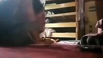 Marathi Bhabhi Fucked By Lover