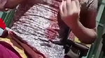 Beautiful Horny Village Girl Fingering