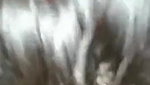 Deshi Bhabhi Shy BUt Riding Dick Fast