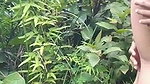 Beautiful girl fucking in jungle