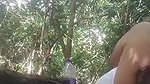 Mature couple fucking in jungle