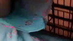 Cute bengali girl paid cam show