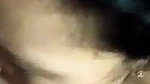 Cute Girl Blowjob