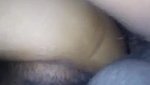 Desi sexy bhabi doggy fucking