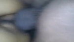 Desi sexy bhabi doggy fucking