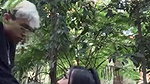 College Boy Fucking Asian Girl in the Woods (Must Watch)