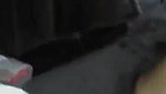 INDIAN BHABHI SHORT CLIP OF BLOWJOB