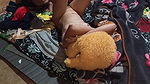 Sexy girl fucking in my room at Durga puja