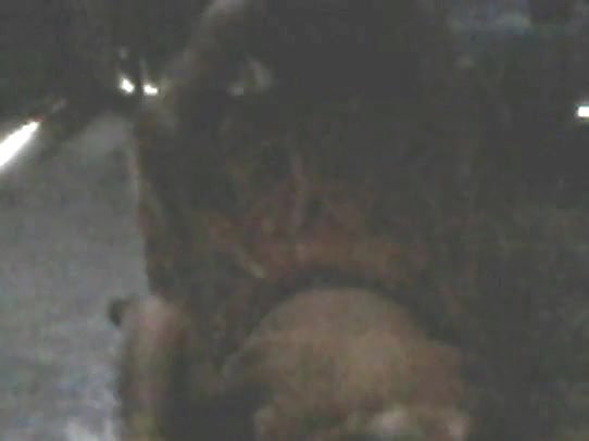 Desi village couple large clip