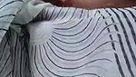 2 bhabhi