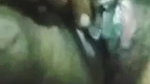Bhabi Showing Pussy
