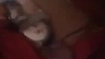 Pastho lady fingering
