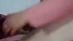 Pastho lady fingering