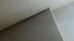 Beautiful maal in bathroom on VC