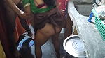 Very Cute Sexy Indian Housewife Has Kitchen Sex
