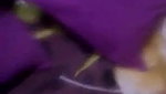 Desi Mature Shywife