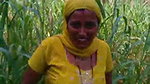 In jungle village bhabi