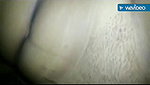 Babe Babe Orni Sex Video – Movies