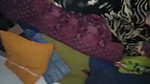 Beautiful Tamil Bhabhi Giving Blowjob & Fucking
