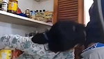 Hiding Sex with Father in Law and Captured on Camera