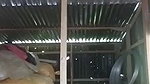 Bangla village wife striptease show