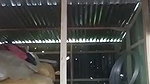 Bangla village wife striptease show