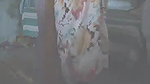 Desi Bhabi Affair With Devar