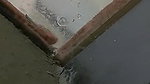 Young beautiful girl pussy licking and fucking outdoor