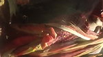 VID-20241-WA01245746