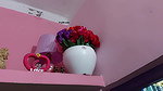 VID-20241-WA012457486
