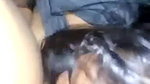 Cute sucker