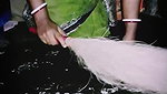 VID-20241-WA0124574211
