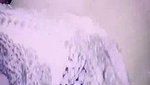 VID-20241-WA0124574265
